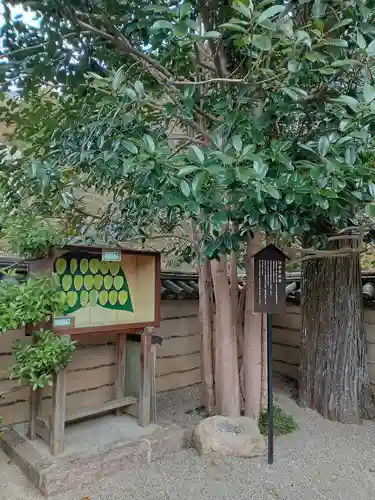 法起院(奈良県)