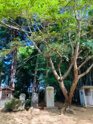 愛宕神社(茨城県)