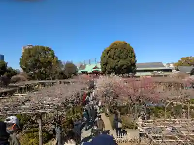 亀戸天神社(東京都)