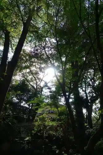 興正寺別院（本山興正寺霊山本廟）のその他建物