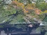 現光寺(京都府)
