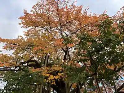 輪王寺(栃木県)
