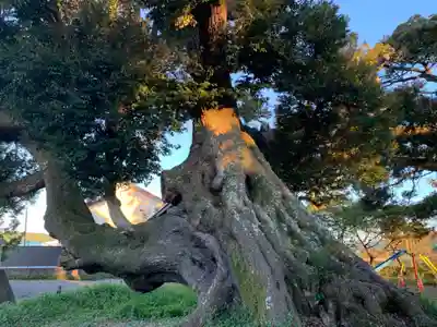 八幡神社のその他建物
