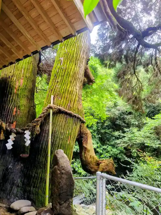 神龍八大龍王神社(熊本県)