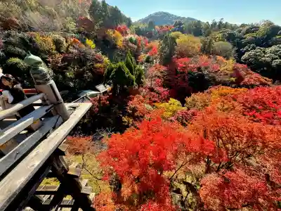 清水寺の{uncategorized: "未分類", other: "その他", undefined: "問題あり", building: "その他建物", grave: "お墓", sacred_gate: "鳥居", guardian: "狛犬", statue: "像", buddha: "仏像", history: "歴史", nature: "自然", garden: "庭園", animal: "動物", pagoda: "塔", temizu: "手水舎", mountain_gate: "山門・神門", sanctuary: "本殿・本堂", subordinate: "末社・摂社", art: "芸術", scenery: "景色", jizo: "地蔵", ema: "絵馬", goshuin: "御朱印", omikuji: "おみくじ", items: "授与品その他", amulet: "お守り", goshuincho: "御朱印帳", eats: "食事", festival: "お祭り", votive_dance: "神楽", shichigosan: "七五三参", wedding: "結婚式", experience: "体験その他", initially: "初詣", around: "周辺", anti_infection: "感染症対策"}