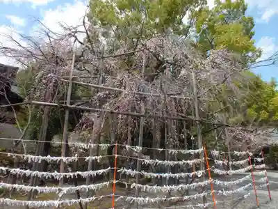 近江神宮のその他建物
