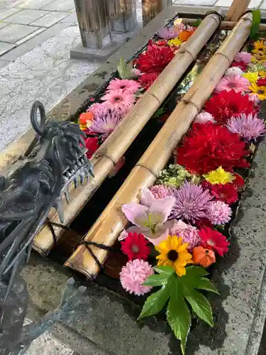 札幌護國神社の手水