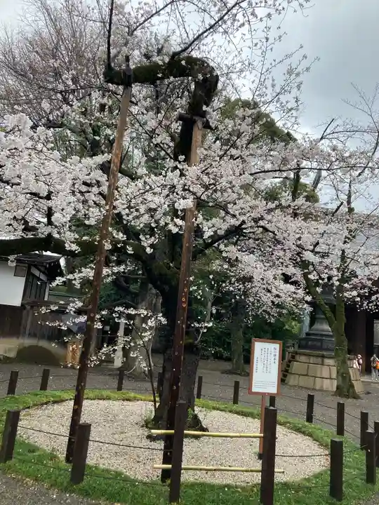 靖國神社(東京都)