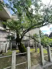 手力雄神社(岐阜県)