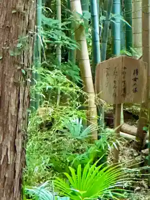 隨心院(随心院)(京都府)