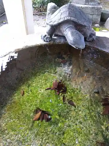 杉杜白髭神社(福井県)