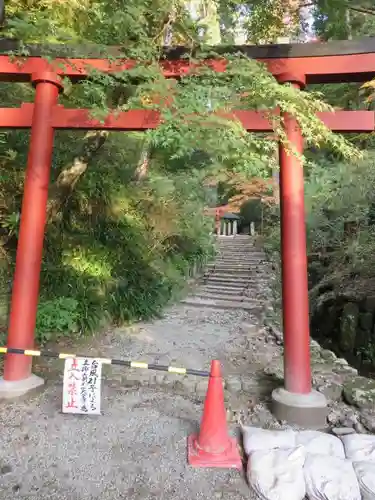 岡寺（龍蓋寺）の鳥居