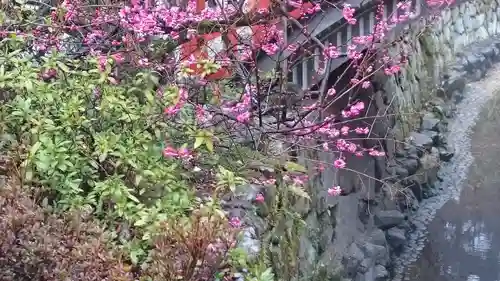 賀茂御祖神社（下鴨神社）の自然