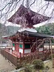 金剛寺の建物その他