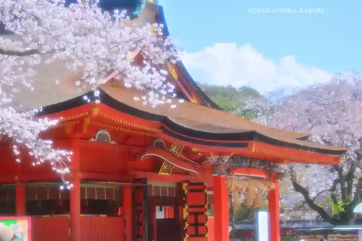 富士山本宮浅間大社(静岡県)