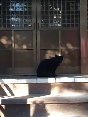 田丸稲荷神社の動物
