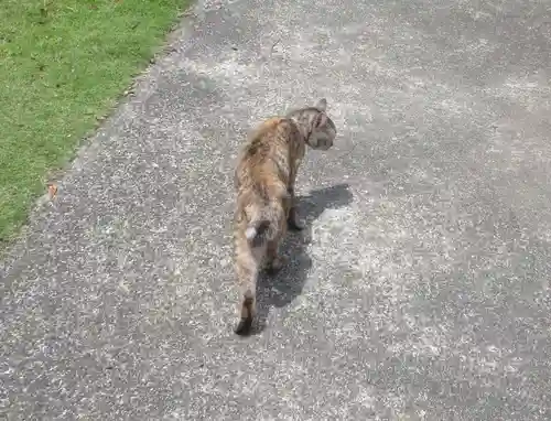 海善寺(静岡県)