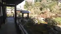 両足院の庭園