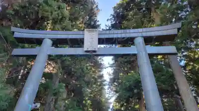 北口本宮冨士浅間神社の鳥居