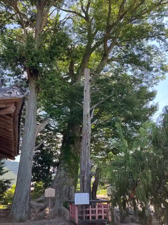 梅田神社の自然