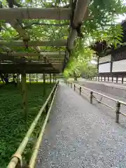 平等院の建物その他