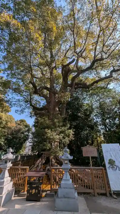 和泉國一之宮 大鳥大社の{uncategorized: "未分類", other: "その他", undefined: "問題あり", building: "その他建物", grave: "お墓", sacred_gate: "鳥居", guardian: "狛犬", statue: "像", buddha: "仏像", history: "歴史", nature: "自然", garden: "庭園", animal: "動物", pagoda: "塔", temizu: "手水舎", mountain_gate: "山門・神門", sanctuary: "本殿・本堂", subordinate: "末社・摂社", art: "芸術", scenery: "景色", jizo: "地蔵", ema: "絵馬", goshuin: "御朱印", omikuji: "おみくじ", items: "授与品その他", amulet: "お守り", goshuincho: "御朱印帳", eats: "食事", festival: "お祭り", votive_dance: "神楽", shichigosan: "七五三参", wedding: "結婚式", experience: "体験その他", initially: "初詣", around: "周辺", anti_infection: "感染症対策"}