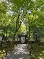 地蔵院(京都府)