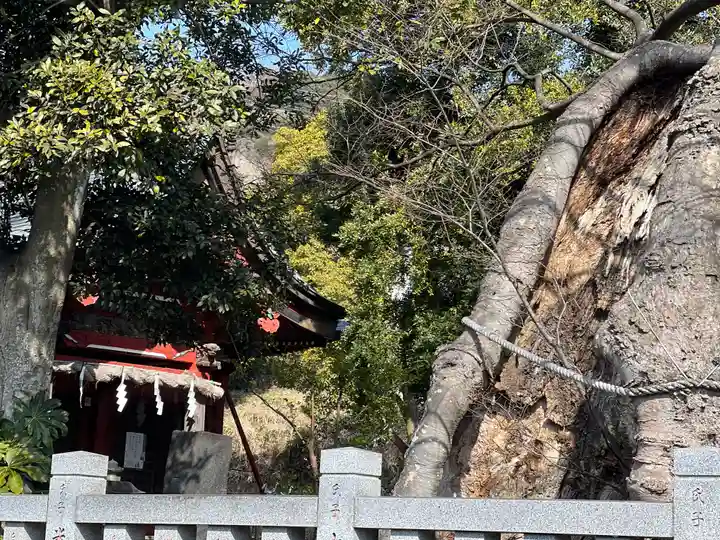 比々多神社(神奈川県)