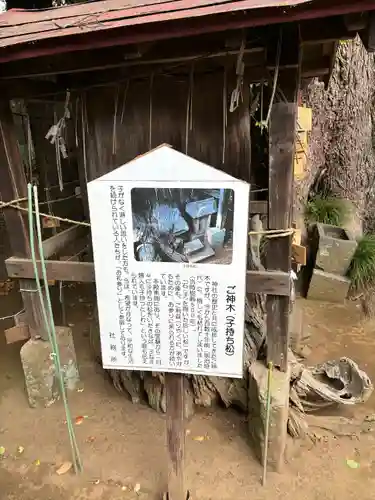 胎安神社(茨城県)