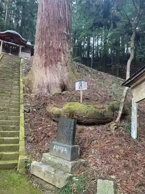 吉田八幡神社(茨城県)