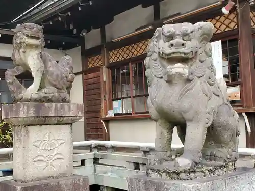 髙牟神社の狛犬