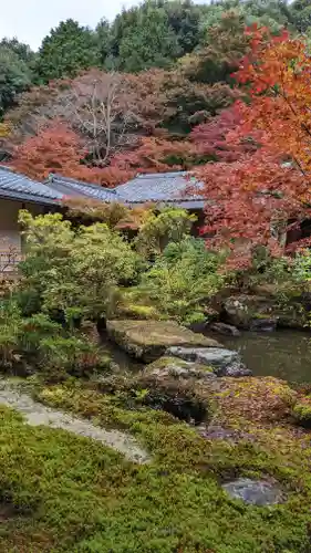 実相院門跡(京都府)