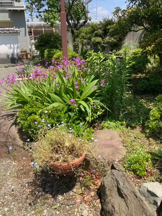 大光寺(神奈川県)