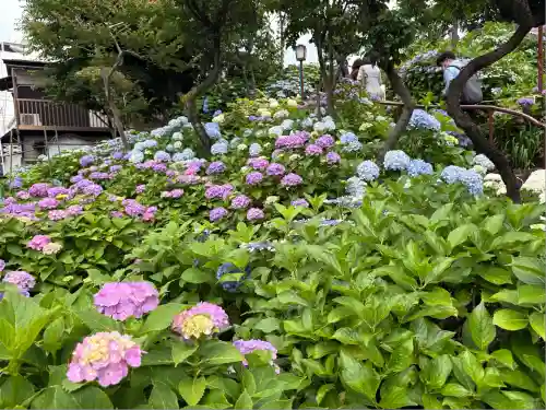 白山神社(東京都)