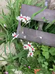 三輪神社の自然