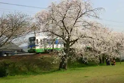 琵琶神社の自然