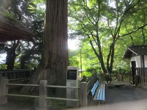 宝城坊(神奈川県)