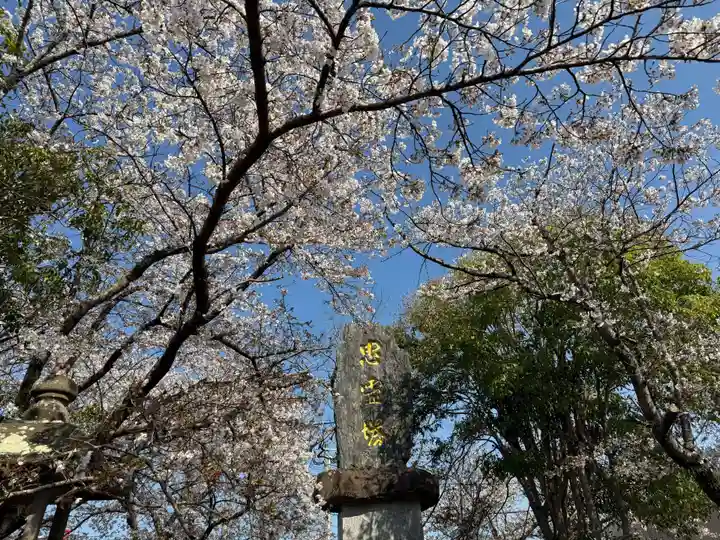 美奈宜神社(福岡県)