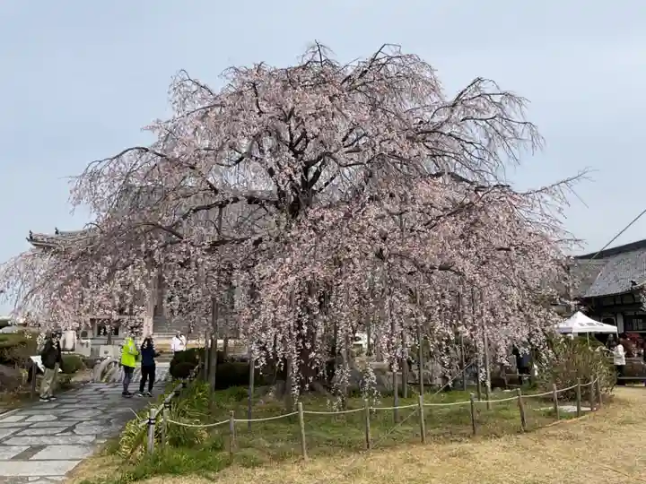 正眼寺(愛知県)