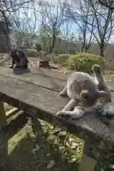 玉野御嶽神社の動物