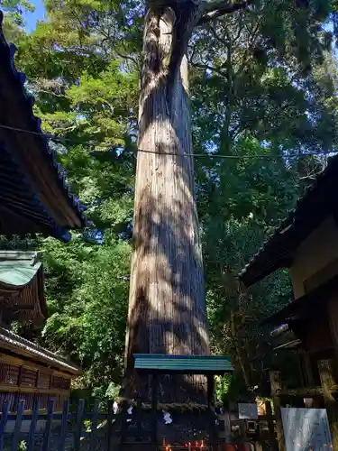 事任八幡宮(静岡県)