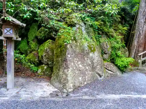伊勢神宮内宮（皇大神宮）の自然