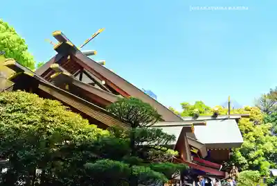 東京大神宮(東京都)