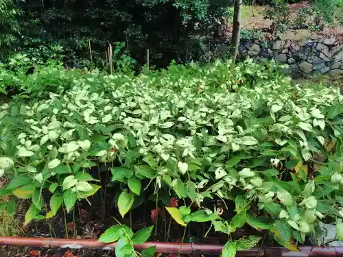 勧修寺(京都府)