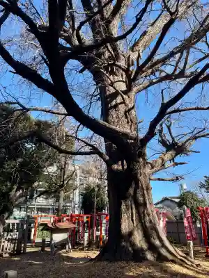 武芳稲荷神社の{uncategorized: "未分類", other: "その他", undefined: "問題あり", building: "その他建物", grave: "お墓", sacred_gate: "鳥居", guardian: "狛犬", statue: "像", buddha: "仏像", history: "歴史", nature: "自然", garden: "庭園", animal: "動物", pagoda: "塔", temizu: "手水舎", mountain_gate: "山門・神門", sanctuary: "本殿・本堂", subordinate: "末社・摂社", art: "芸術", scenery: "景色", jizo: "地蔵", ema: "絵馬", goshuin: "御朱印", omikuji: "おみくじ", items: "授与品その他", amulet: "お守り", goshuincho: "御朱印帳", eats: "食事", festival: "お祭り", votive_dance: "神楽", shichigosan: "七五三参", wedding: "結婚式", experience: "体験その他", initially: "初詣", around: "周辺", anti_infection: "感染症対策"}