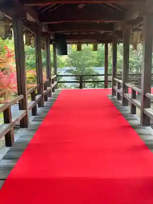 光明寺（粟生光明寺）(京都府)