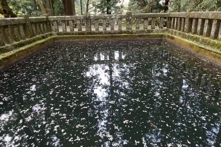 室生寺の庭園