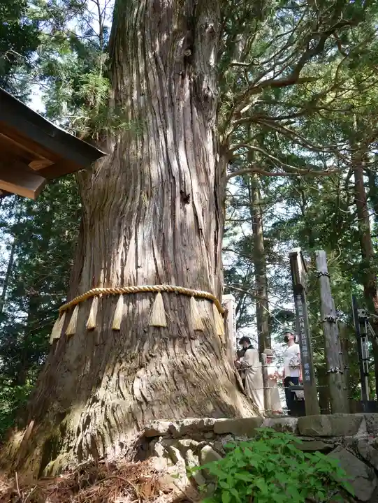 鷲子山上神社(栃木県)