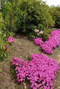 比佐豆知神社(三重県)(2025年04月19日(土) 13時28分15秒投稿)