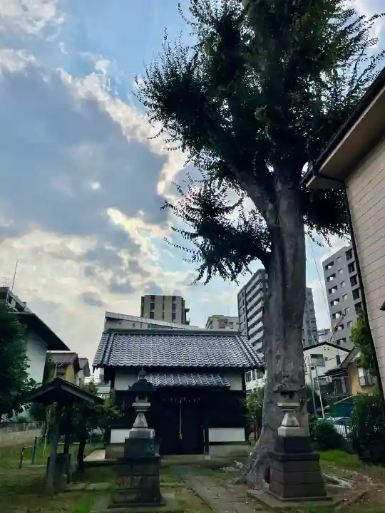 菅原神社(埼玉県)
